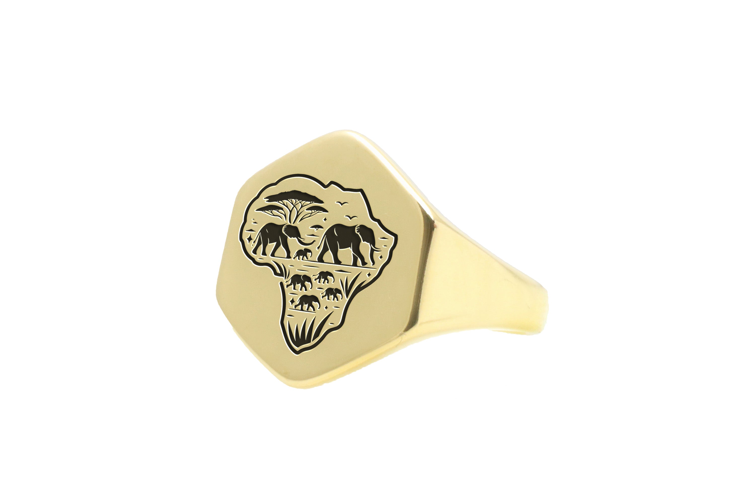 14k Gold African Map Signet Ring