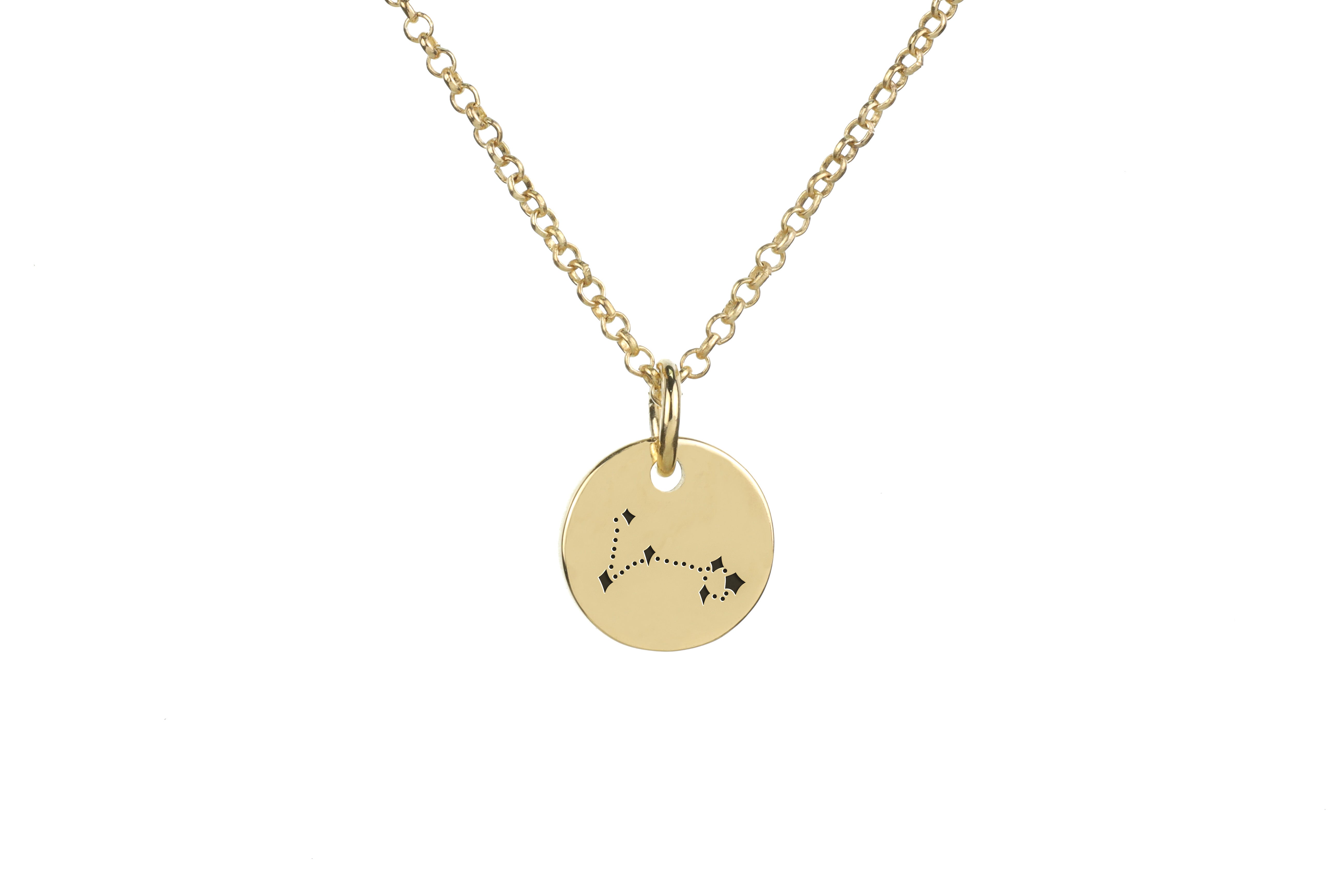 Engraved Pisces Star Map Necklace