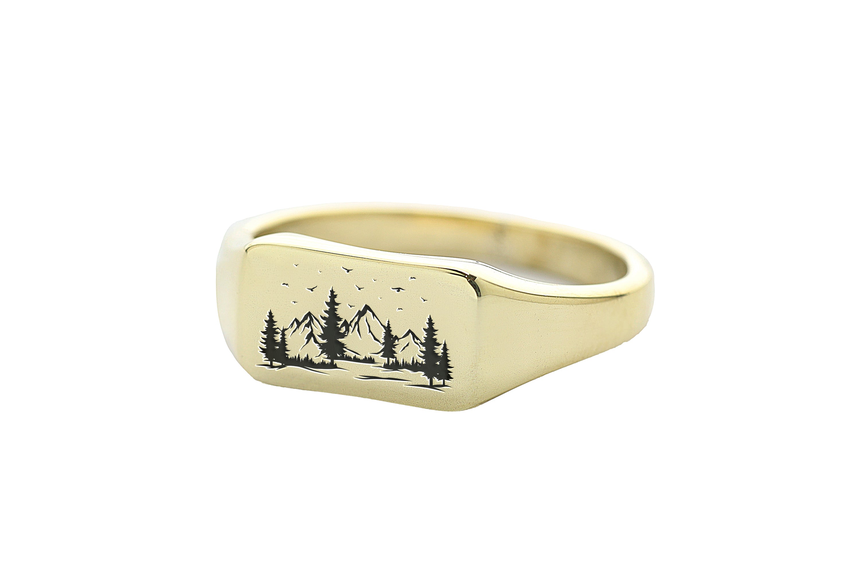 Engraved Panoramic View Ring