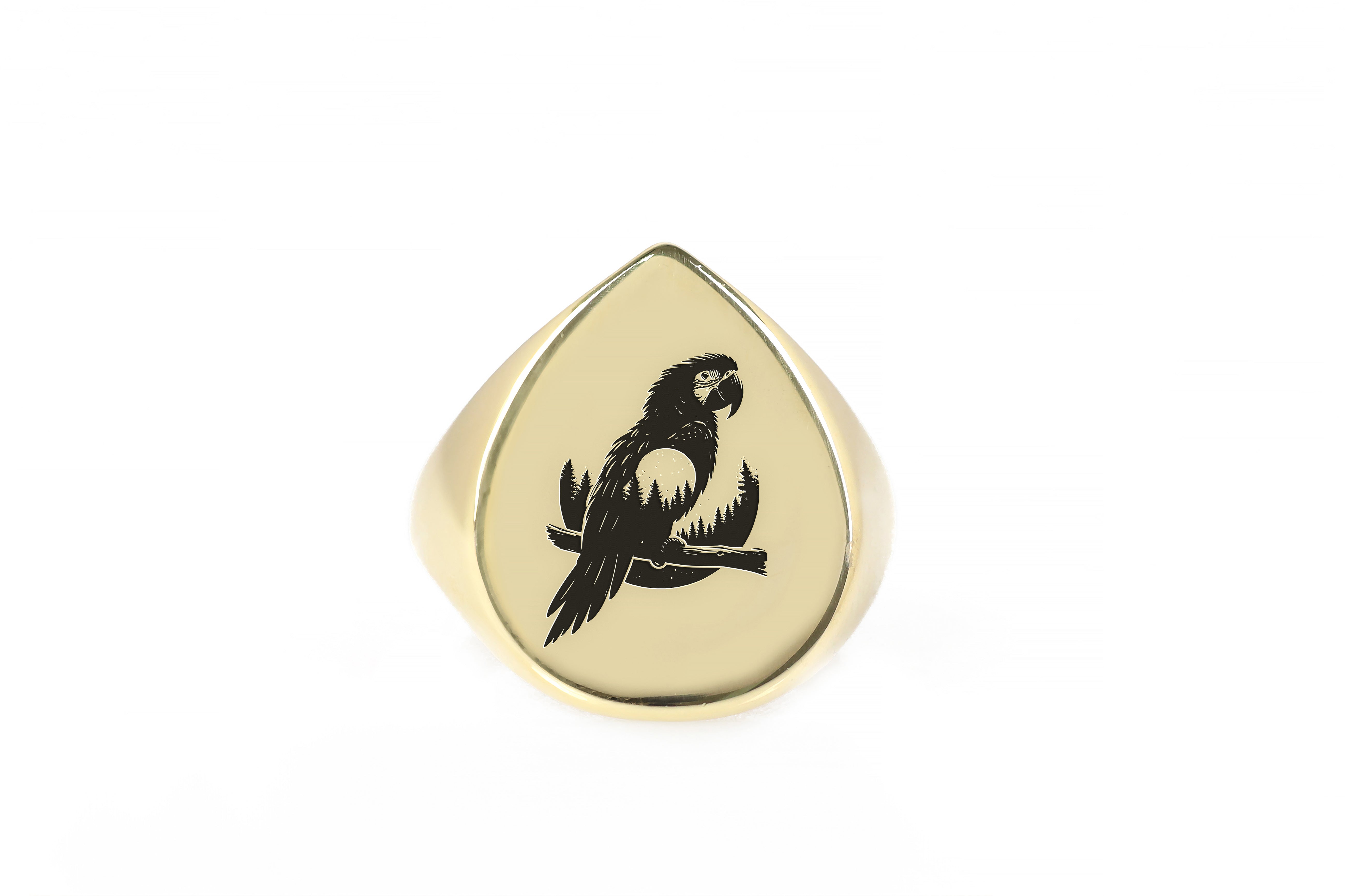 14k Gold Macaw Signet Ring