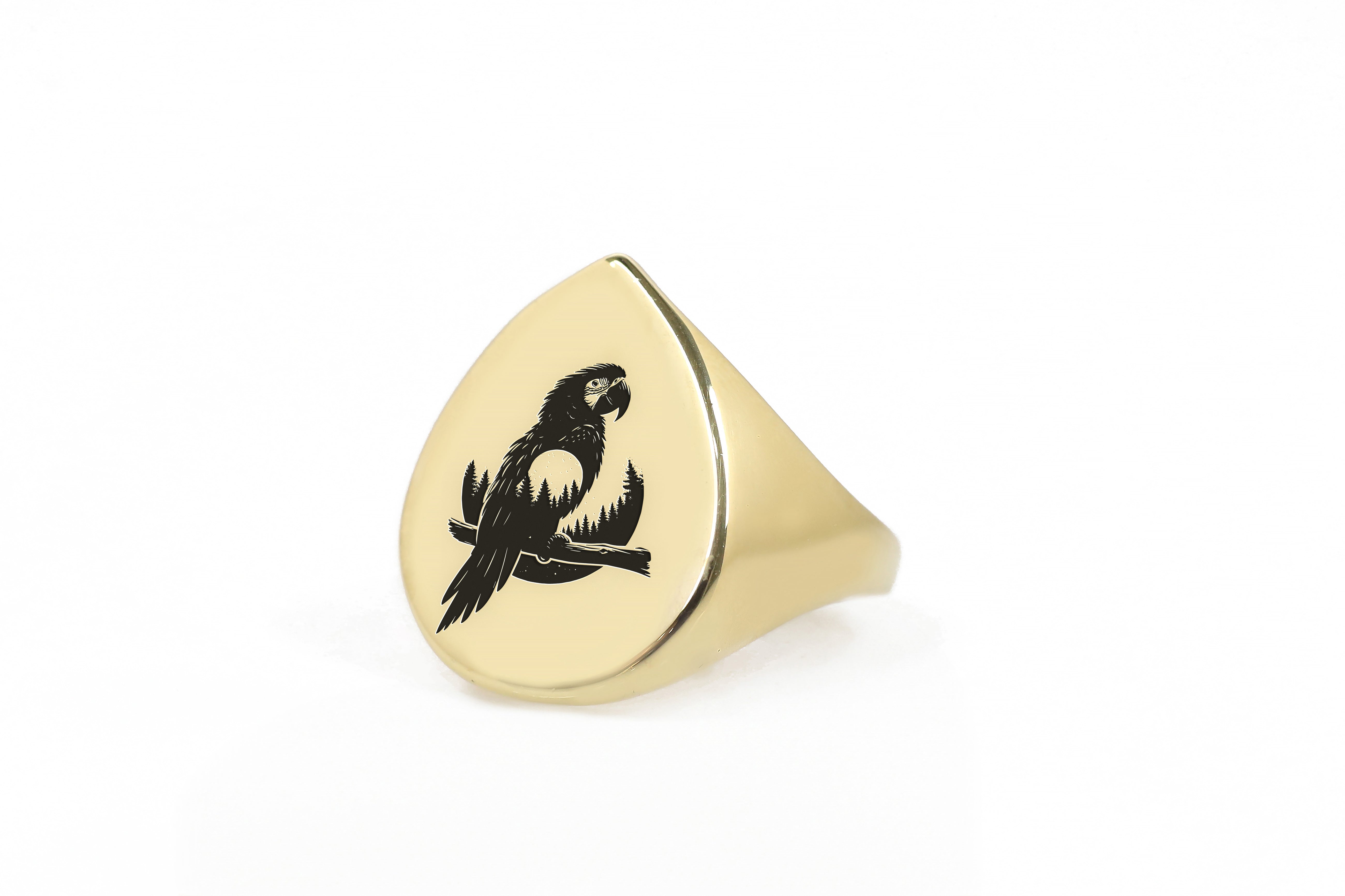 14k Gold Macaw Signet Ring