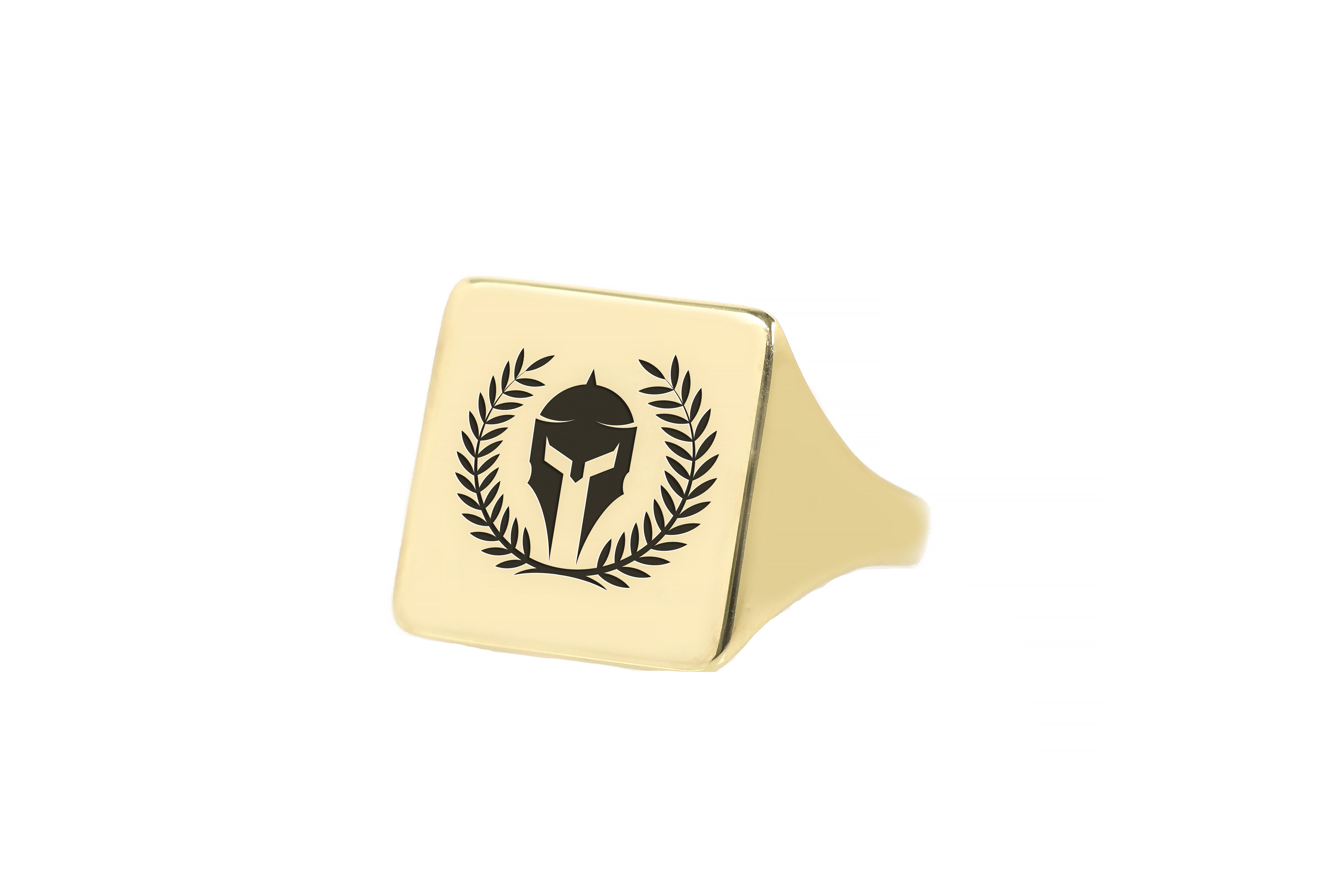 14k Gold Gladiator Signet Ring