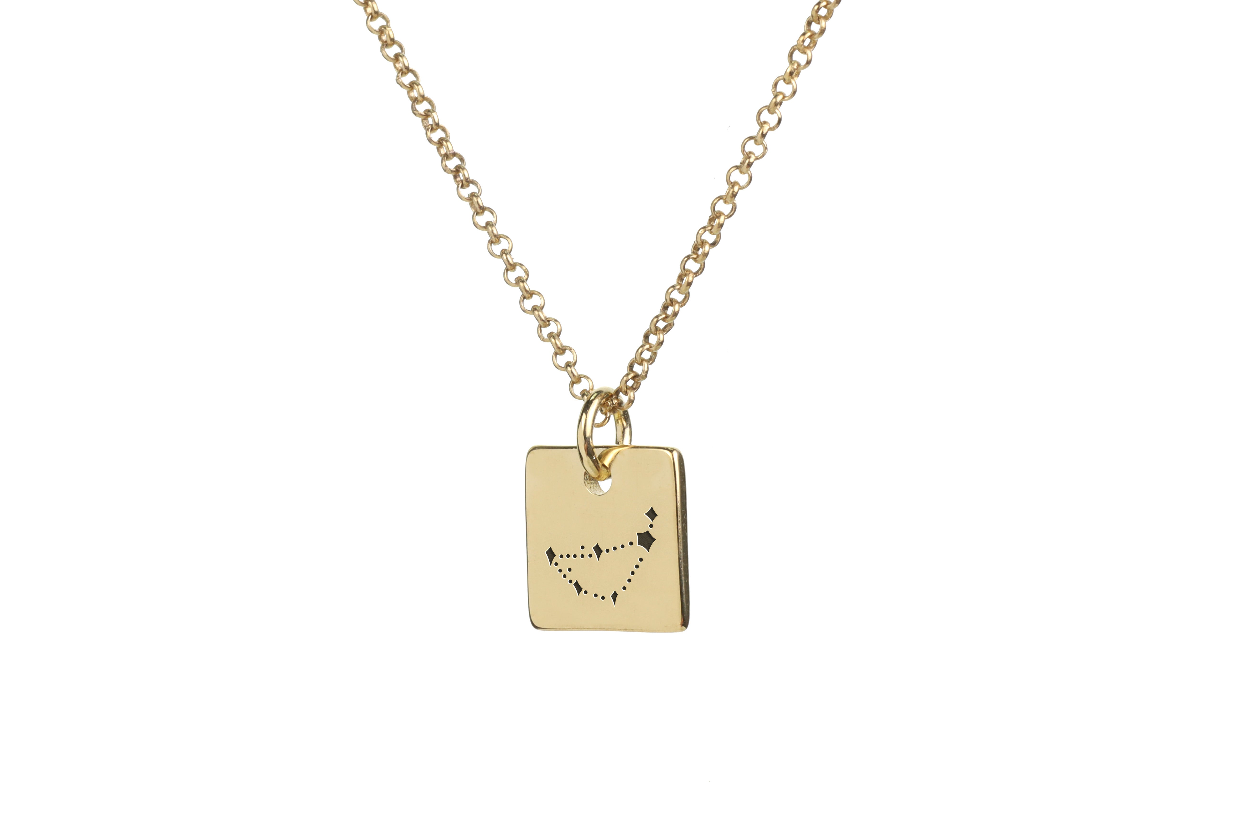 Engraved Capricornus Pendant Necklace