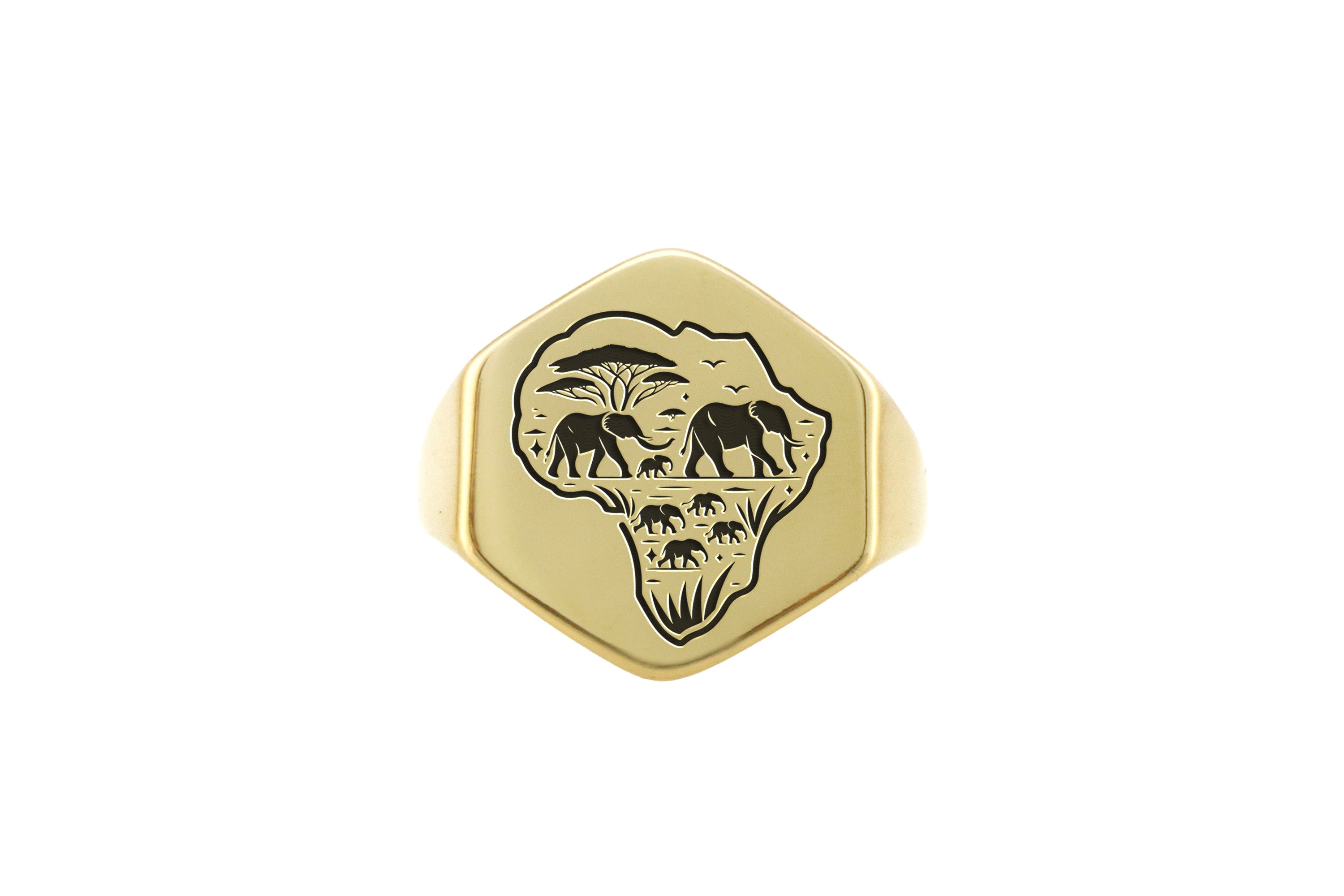 14k Gold African Map Signet Ring