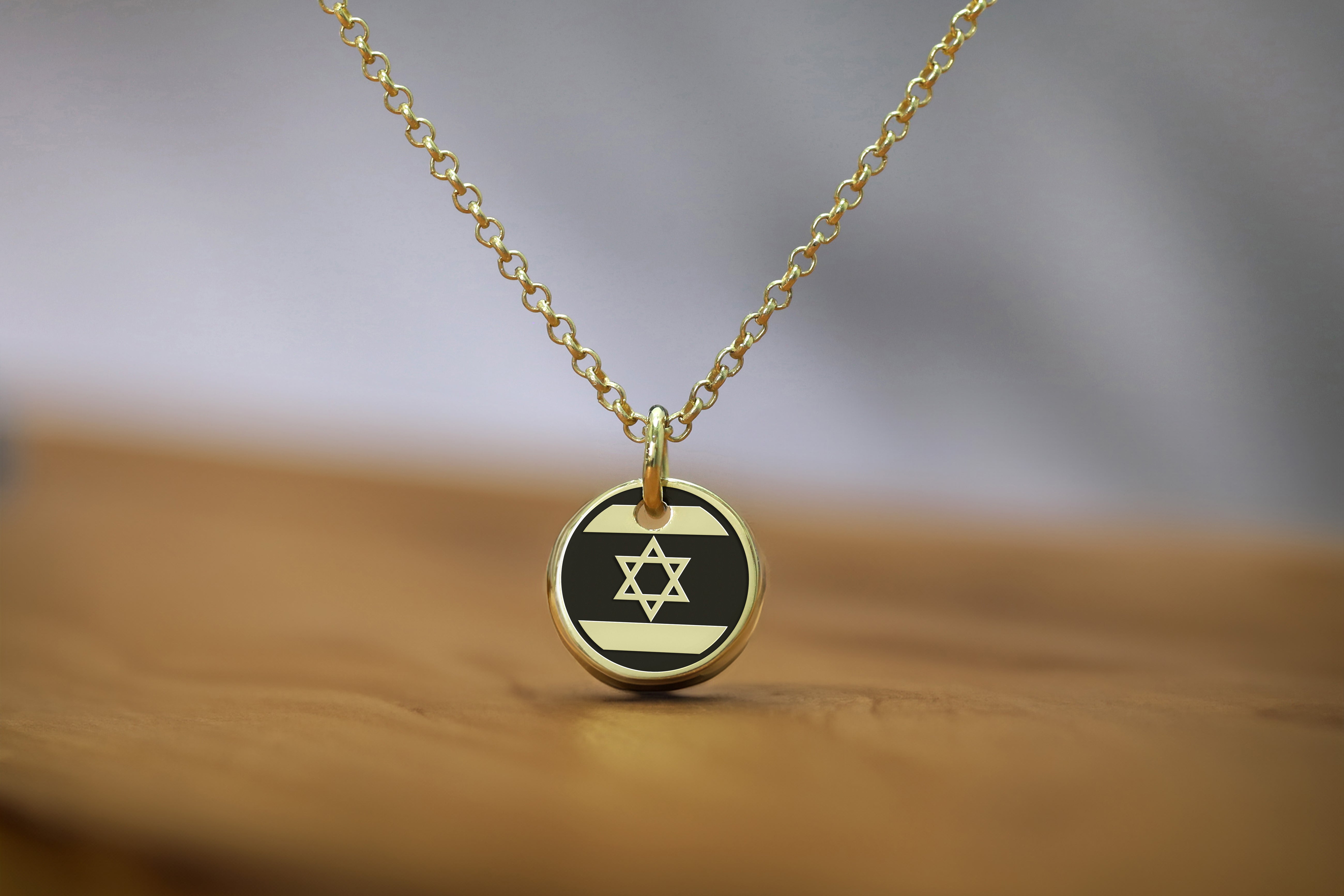 14k Gold Israel Flag Signet Necklace