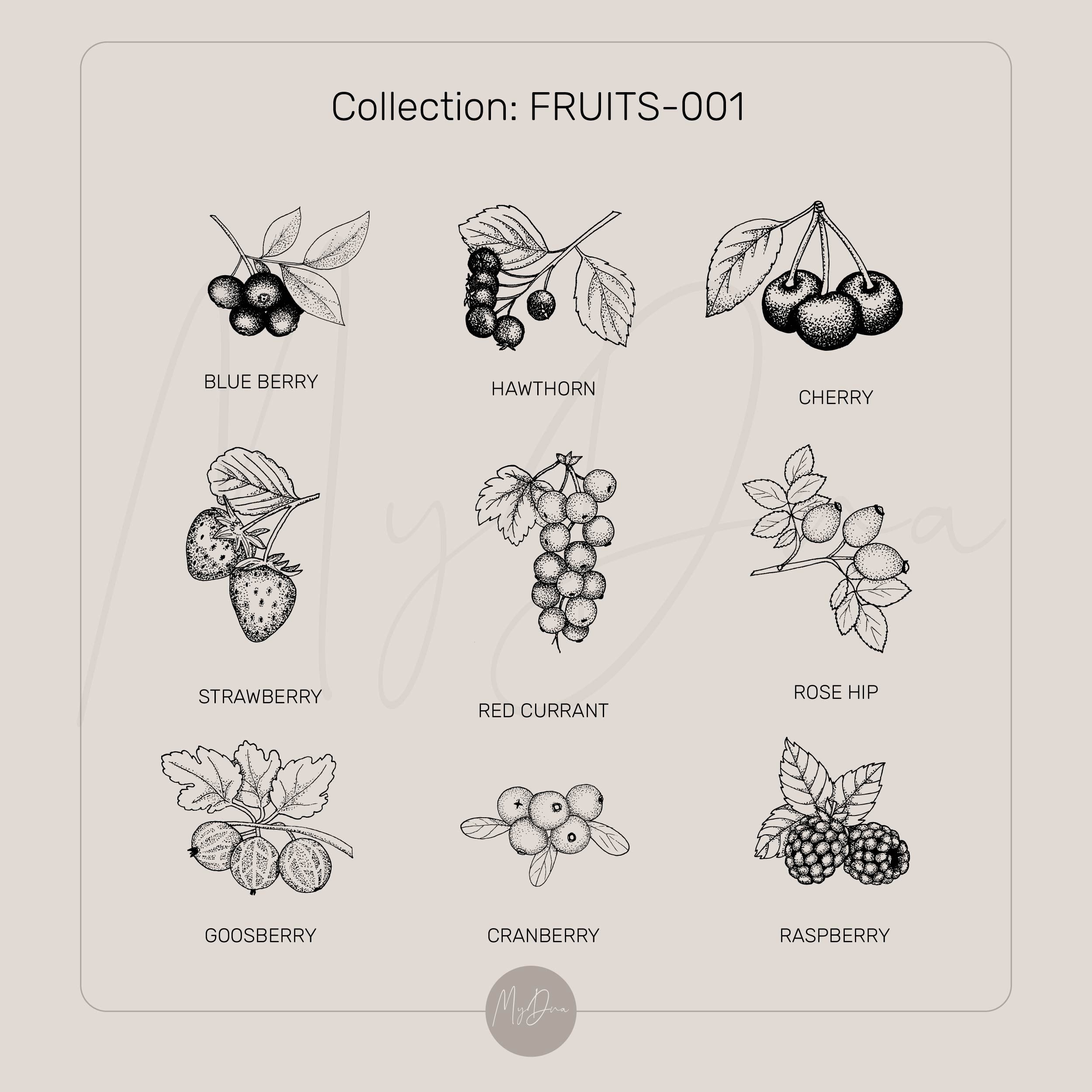 Blueberry Cute Pendant Necklace