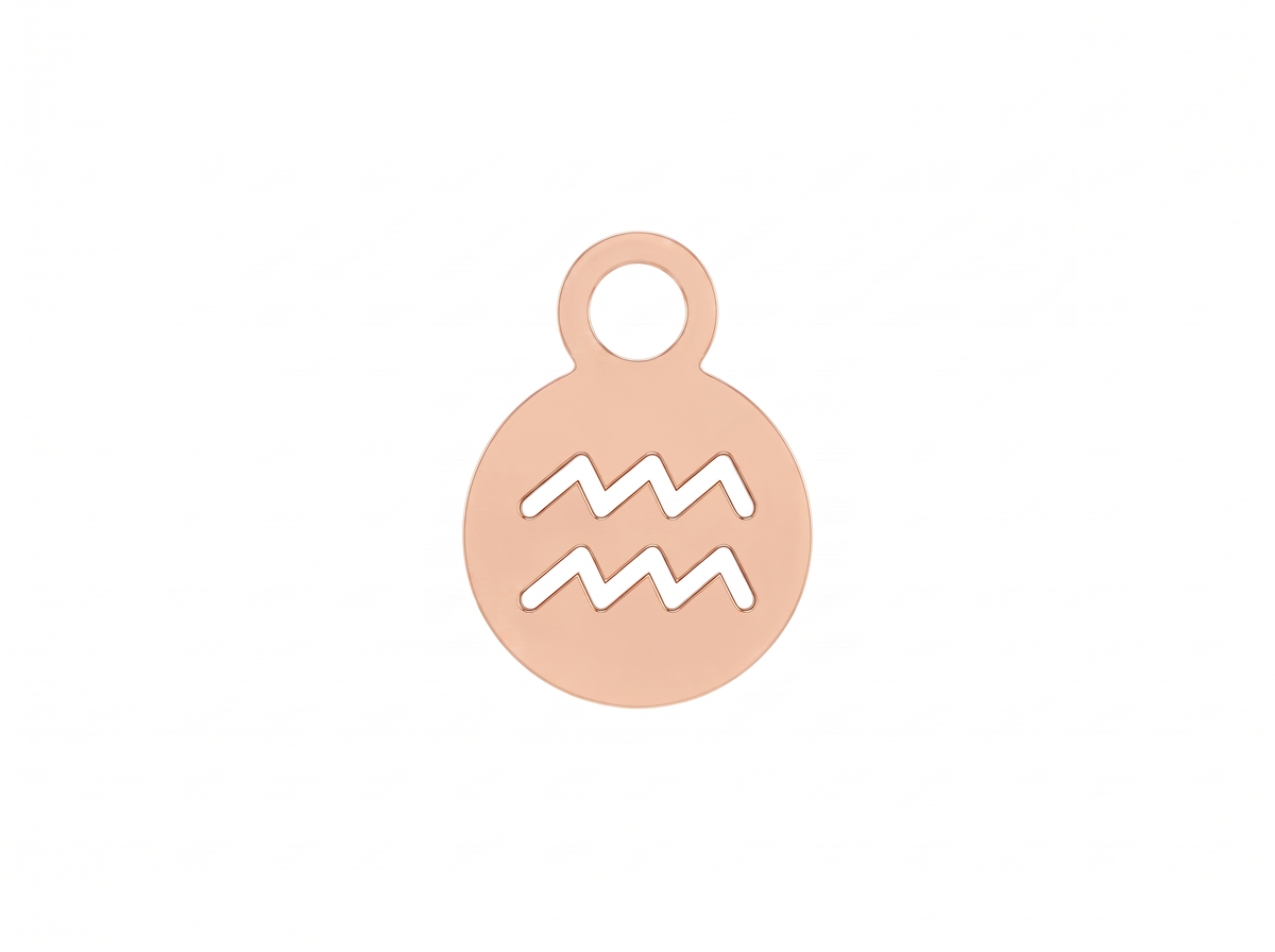 Aquarius Hoop Earrings