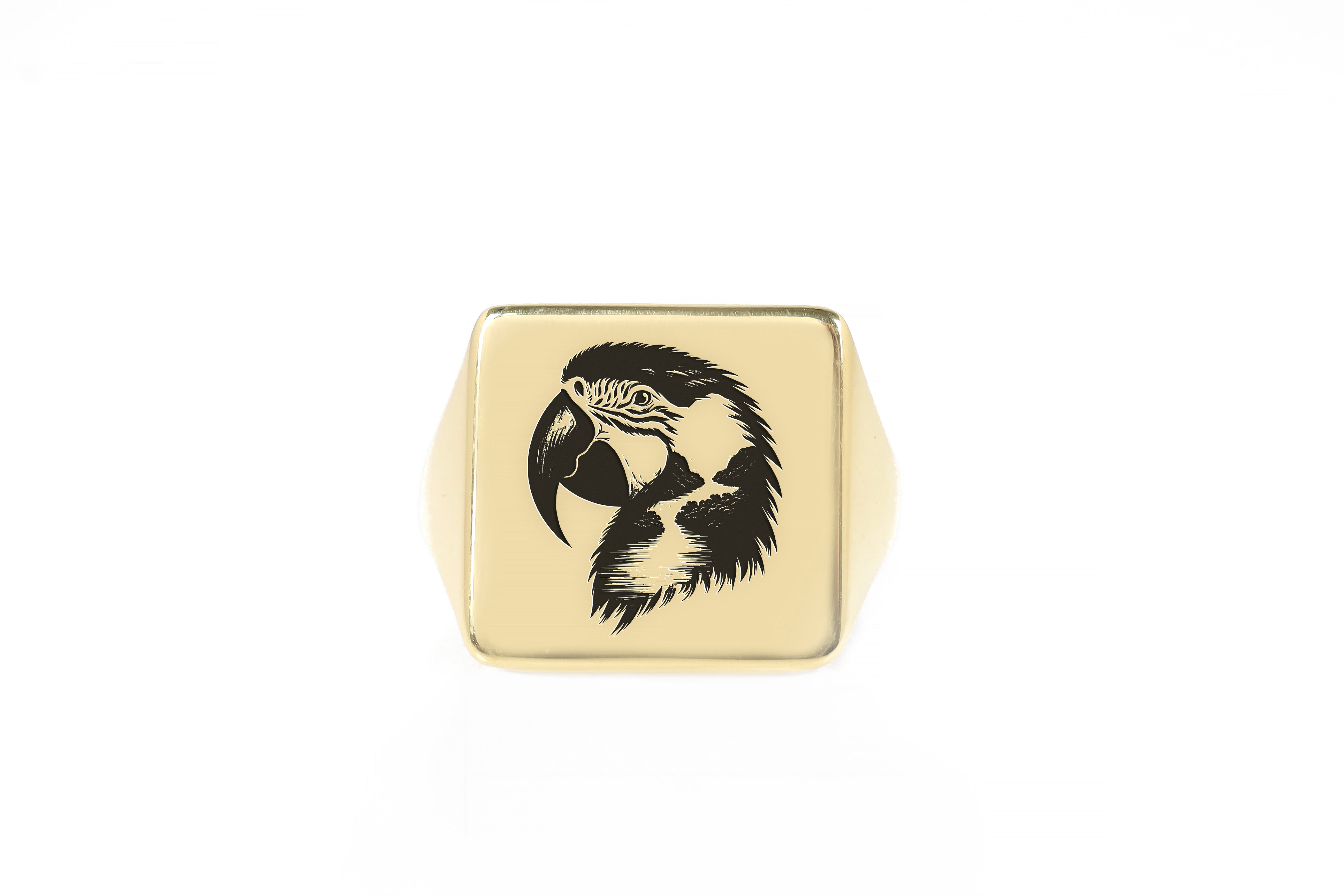 Engraved Macaw Signet Ring