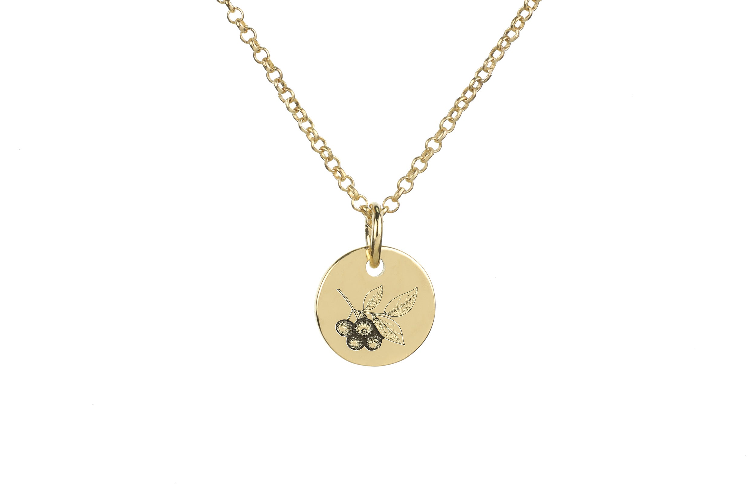 Blueberry Cute Pendant Necklace