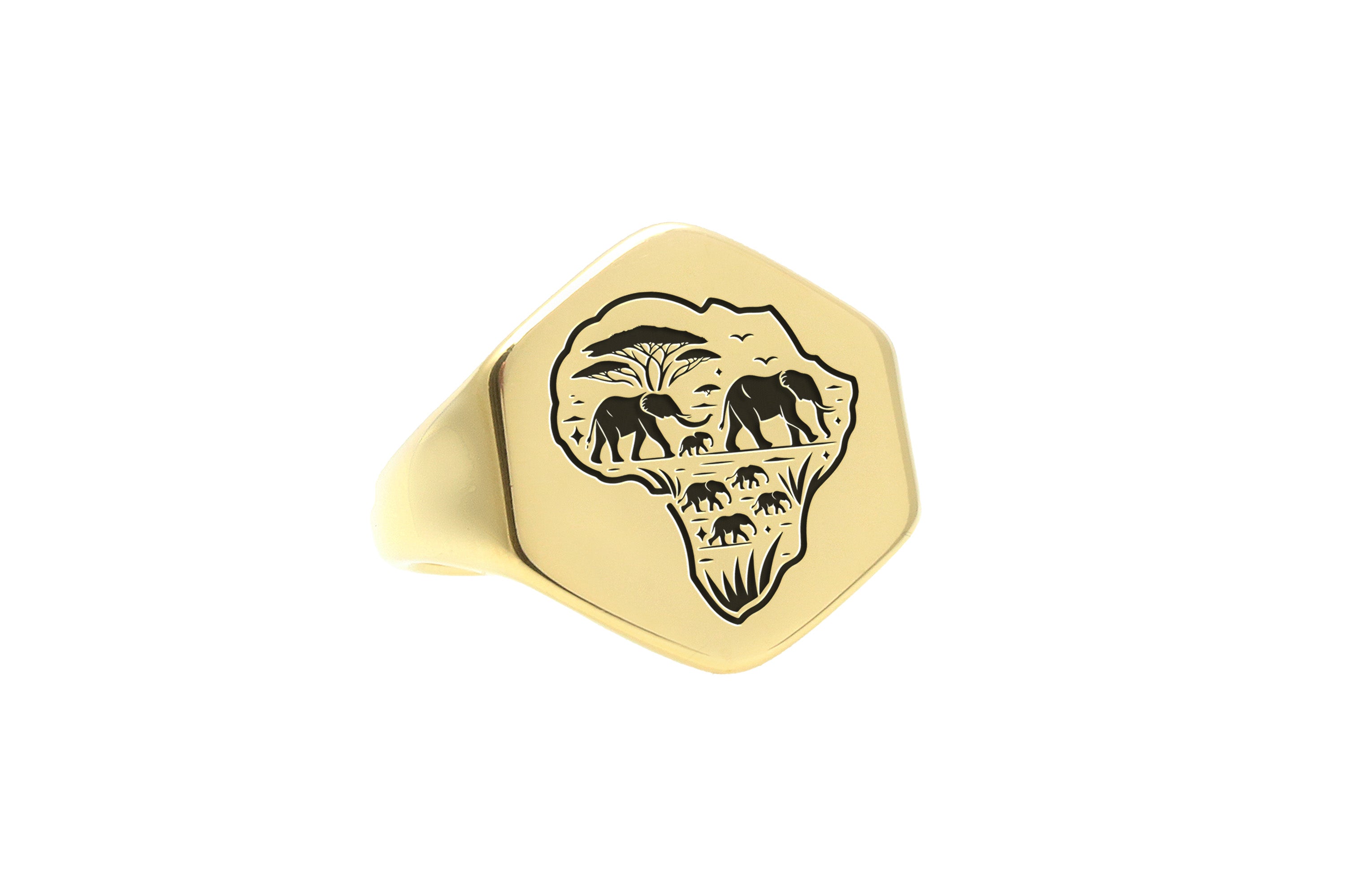 14k Gold African Map Signet Ring