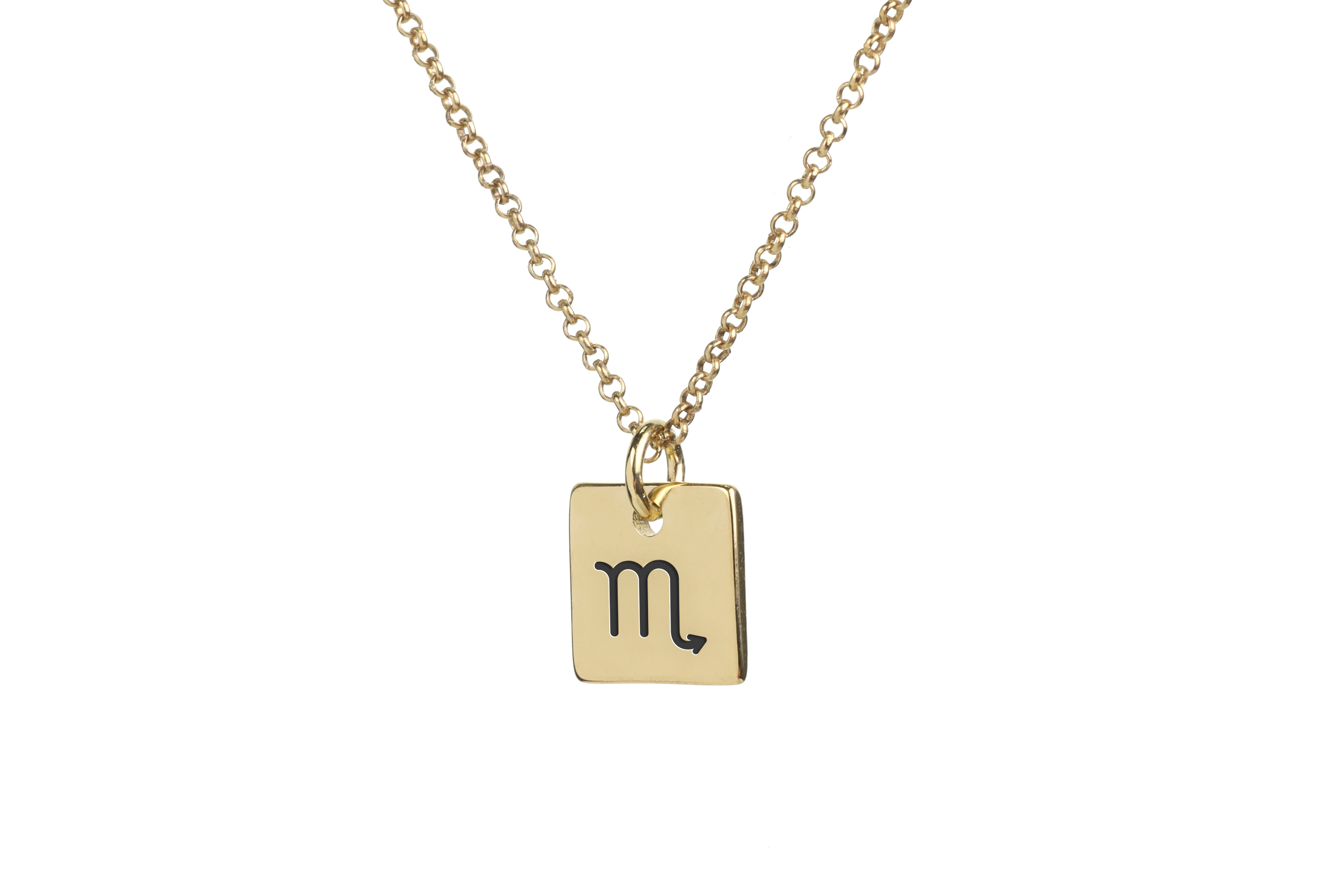 Scorpio Zodiac Sign Necklace