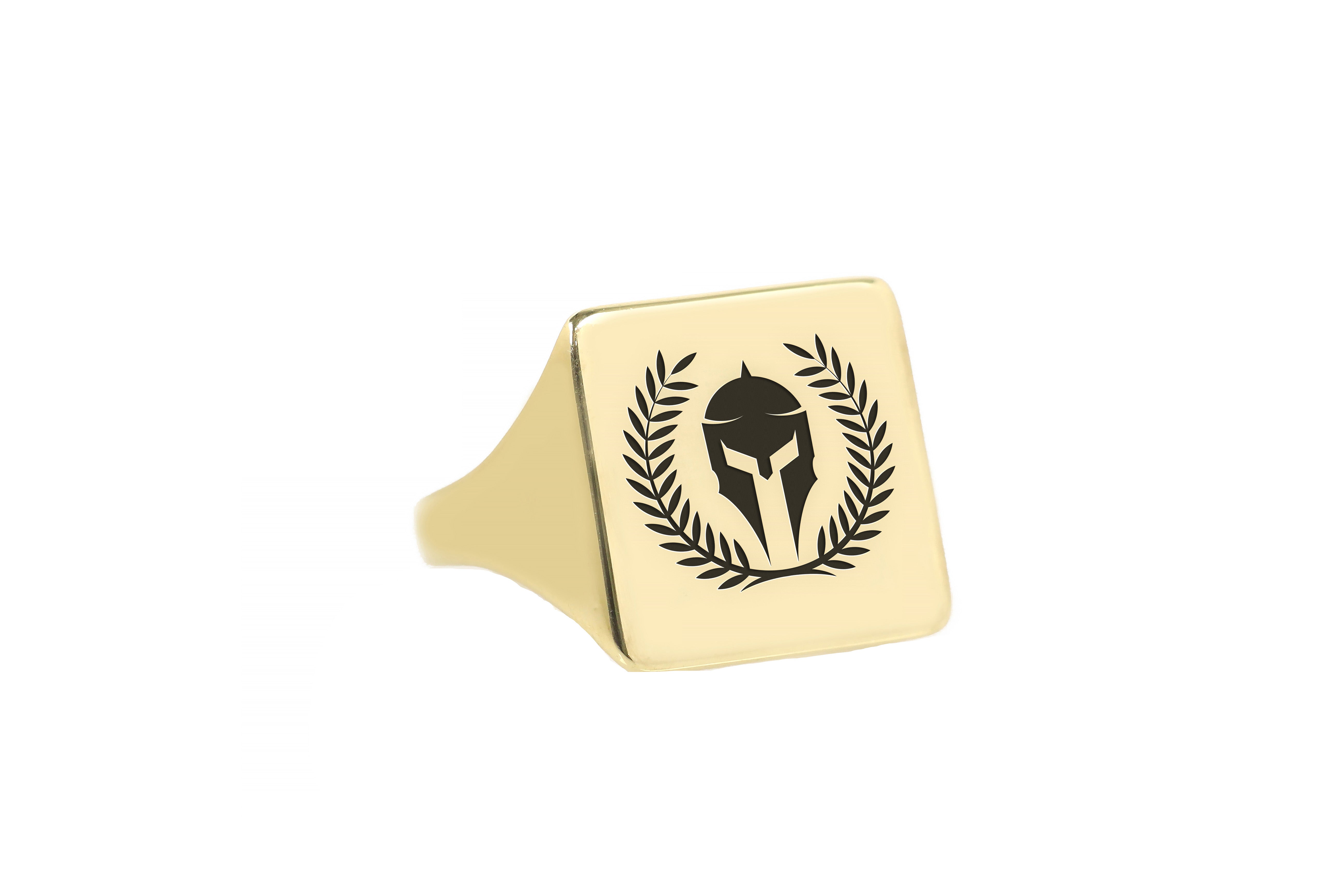 14k Gold Gladiator Signet Ring