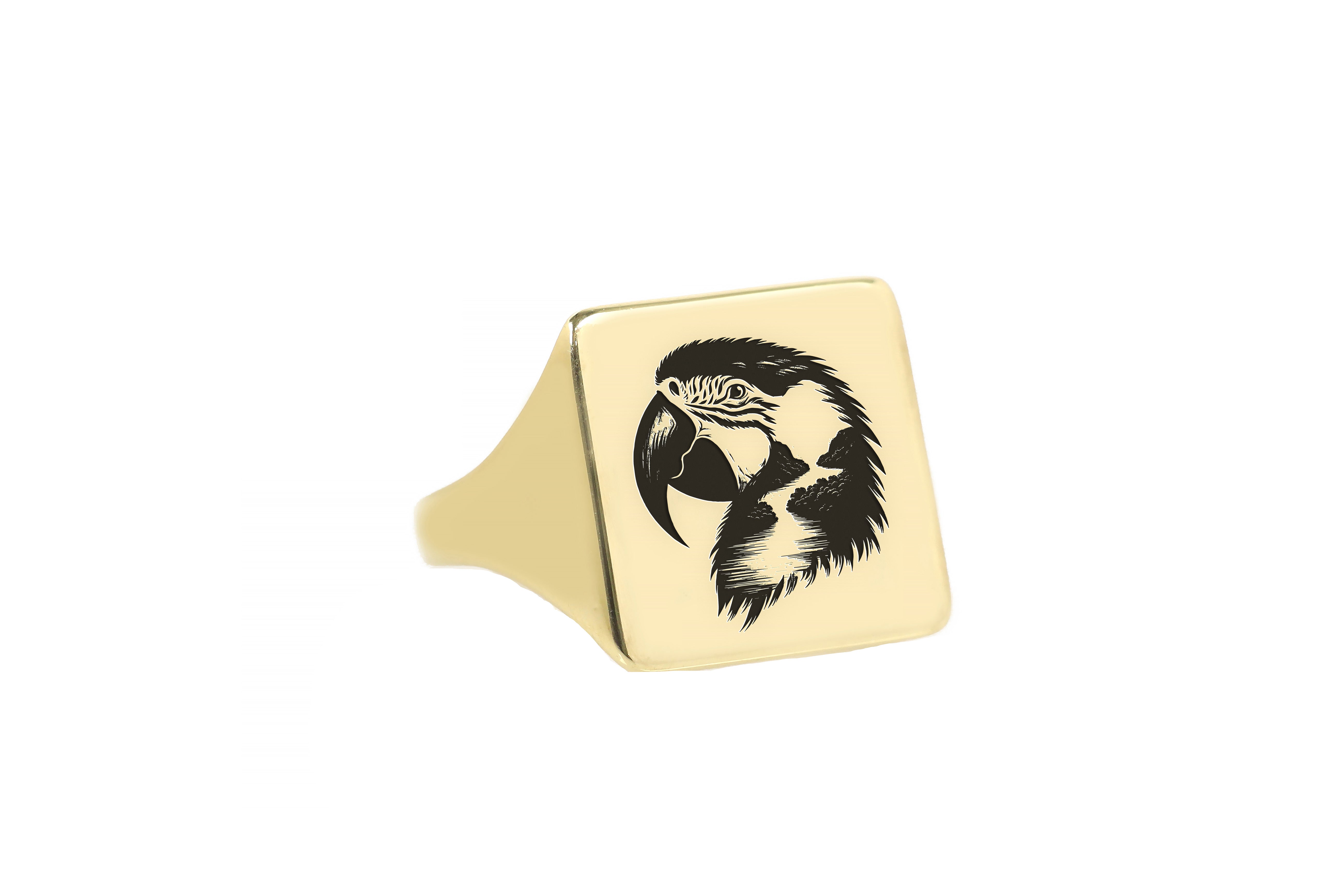 Engraved Macaw Signet Ring