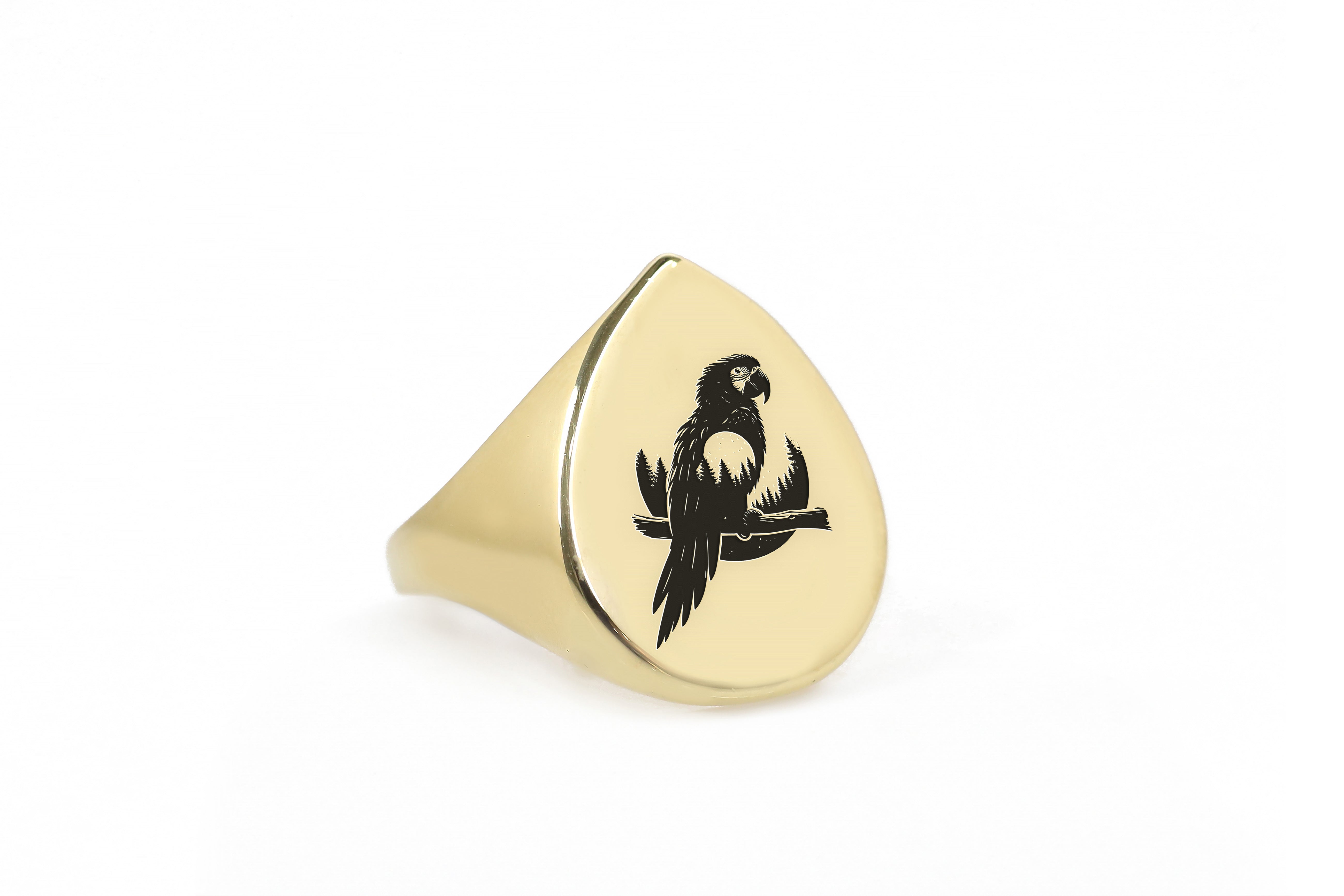 14k Gold Macaw Signet Ring