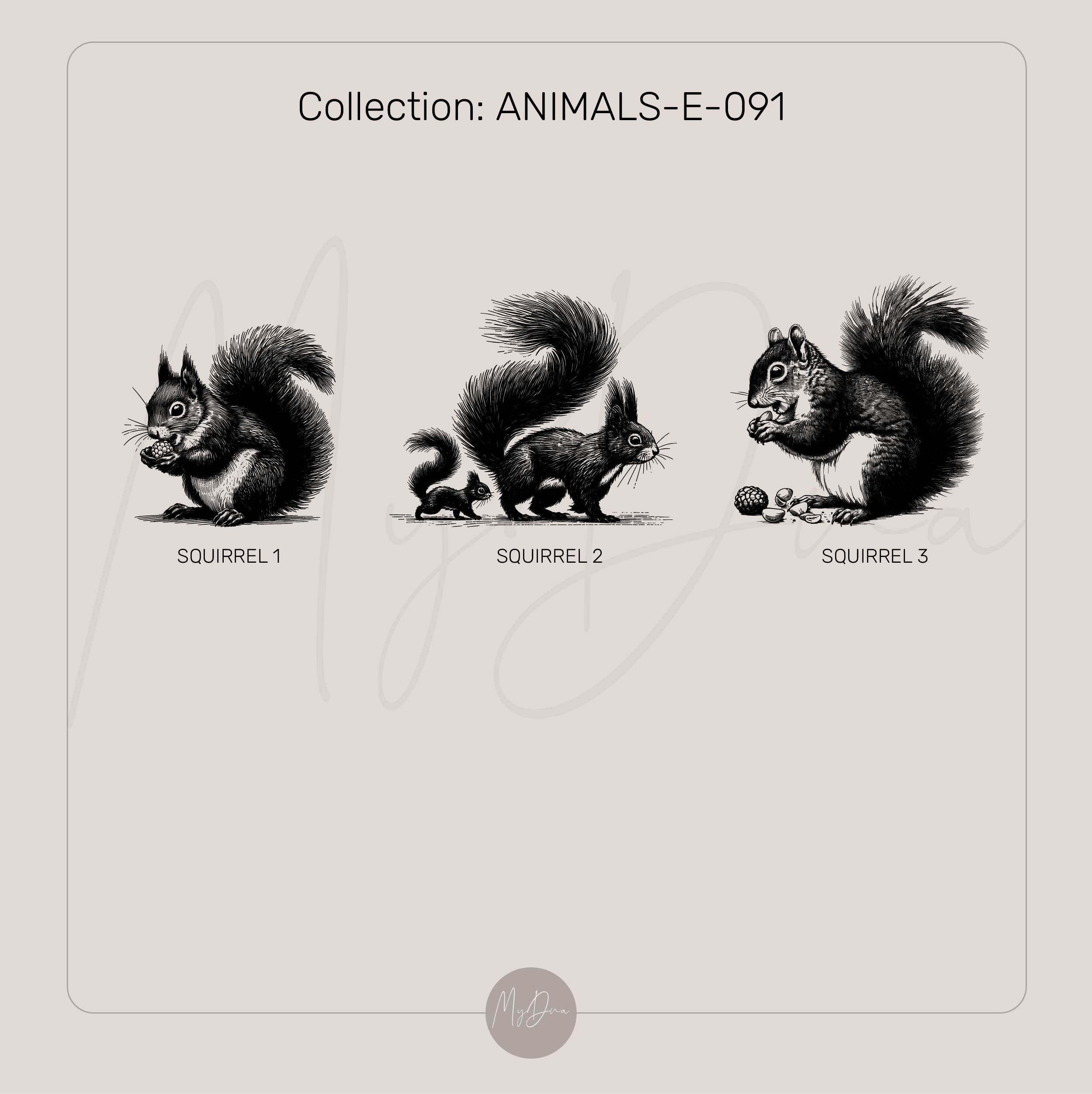 Squirrel 14k Gold Signet Ring