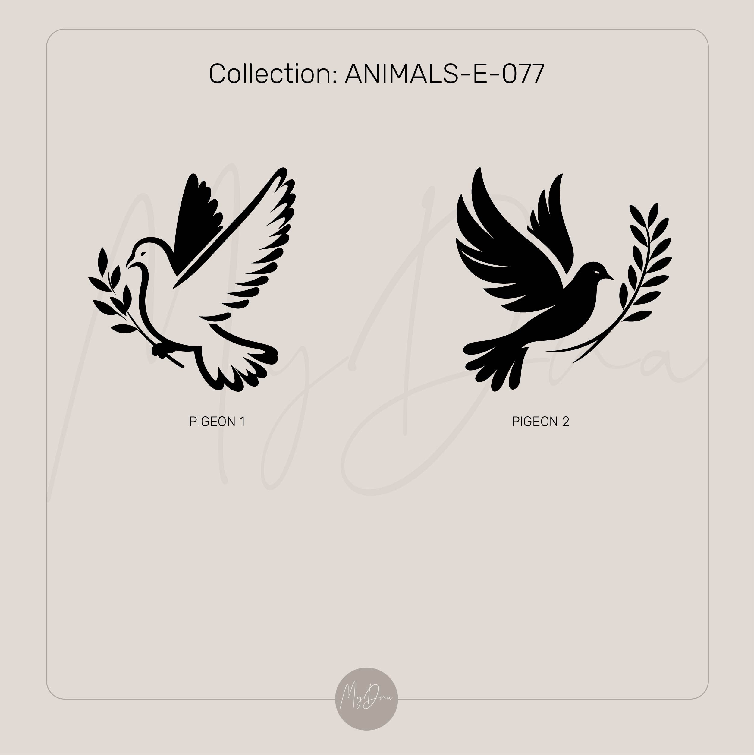 Engraved Pigeon Signet Ring