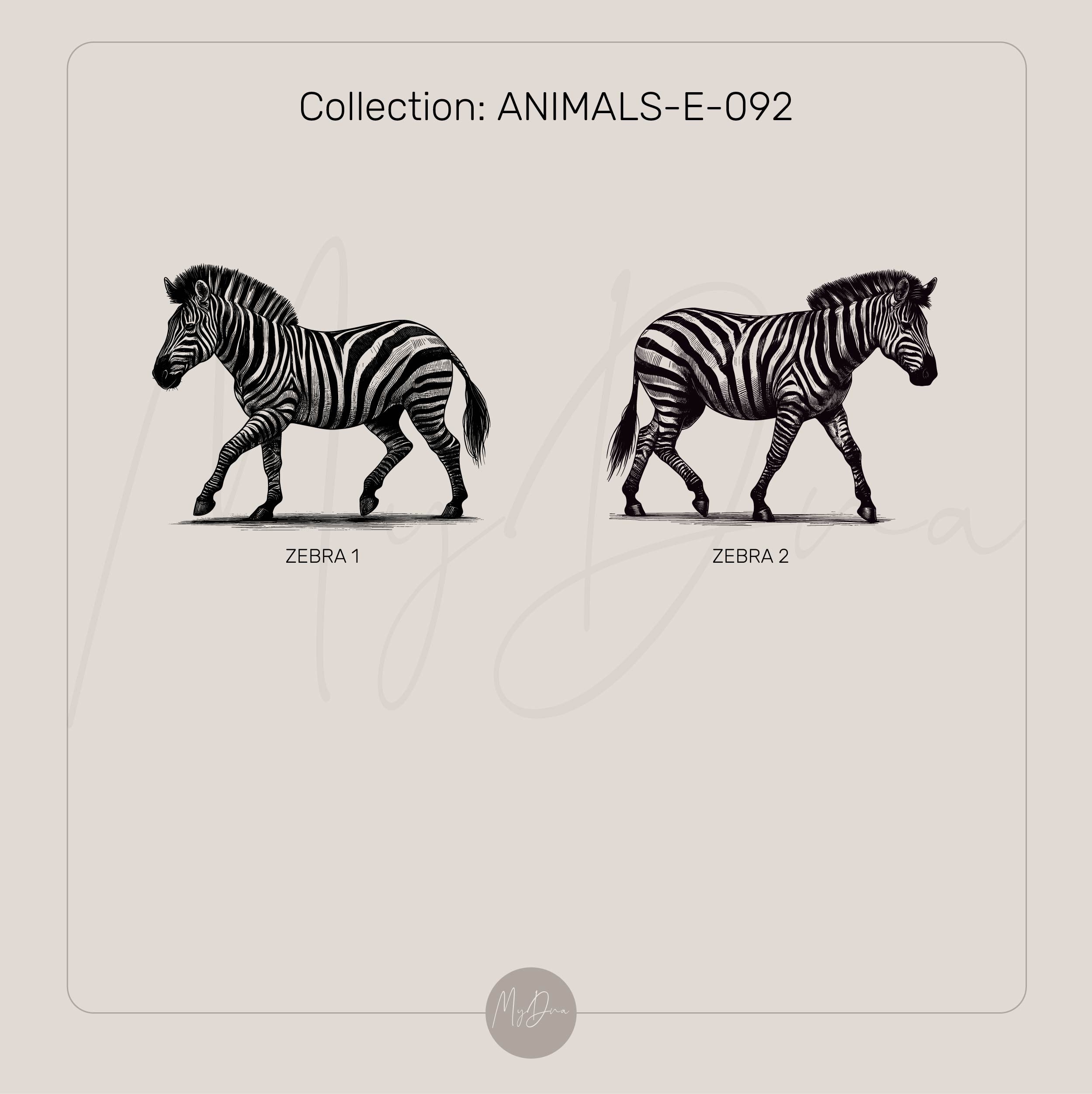 Hand Sketch Zebra Ring