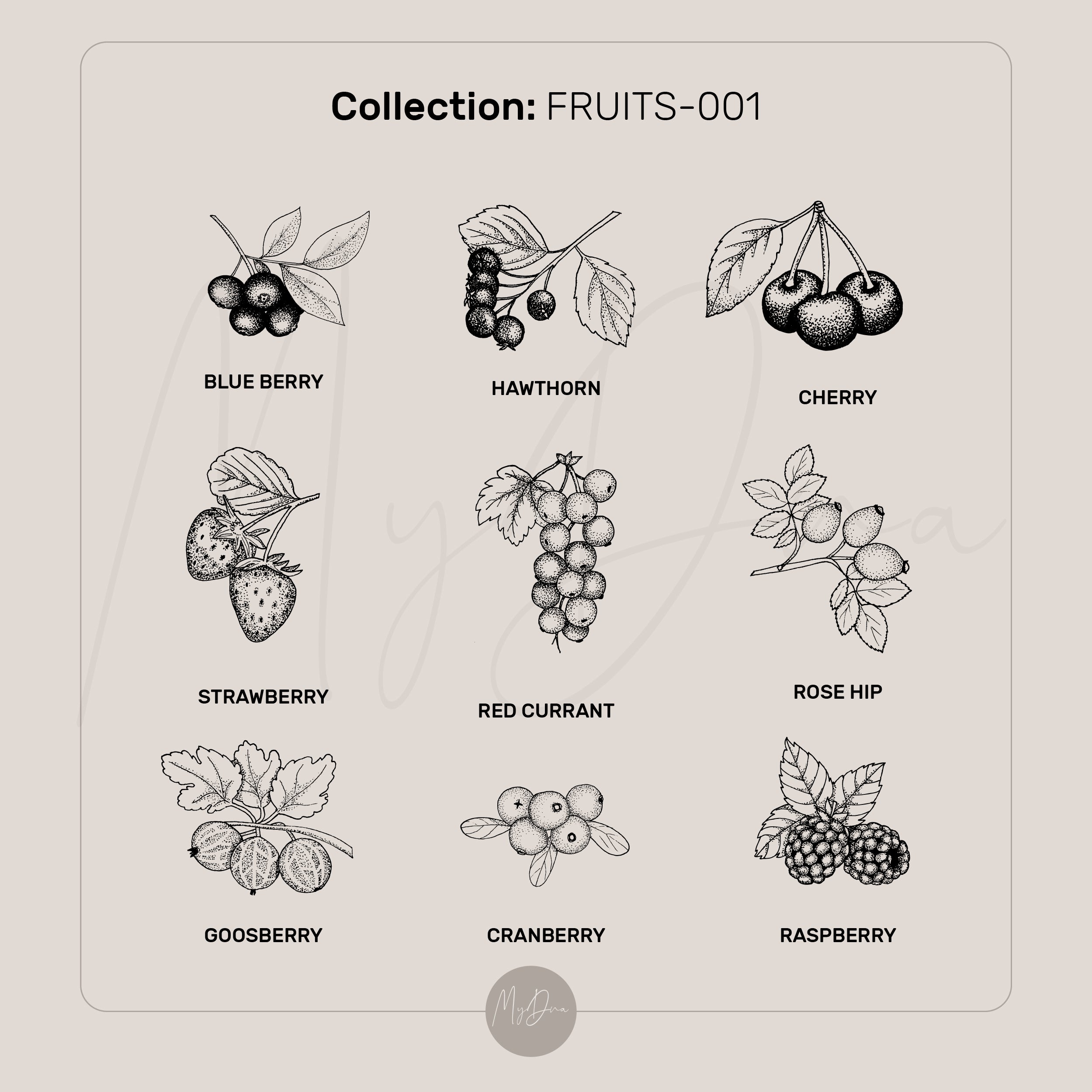 Cherry Engraved Earrings