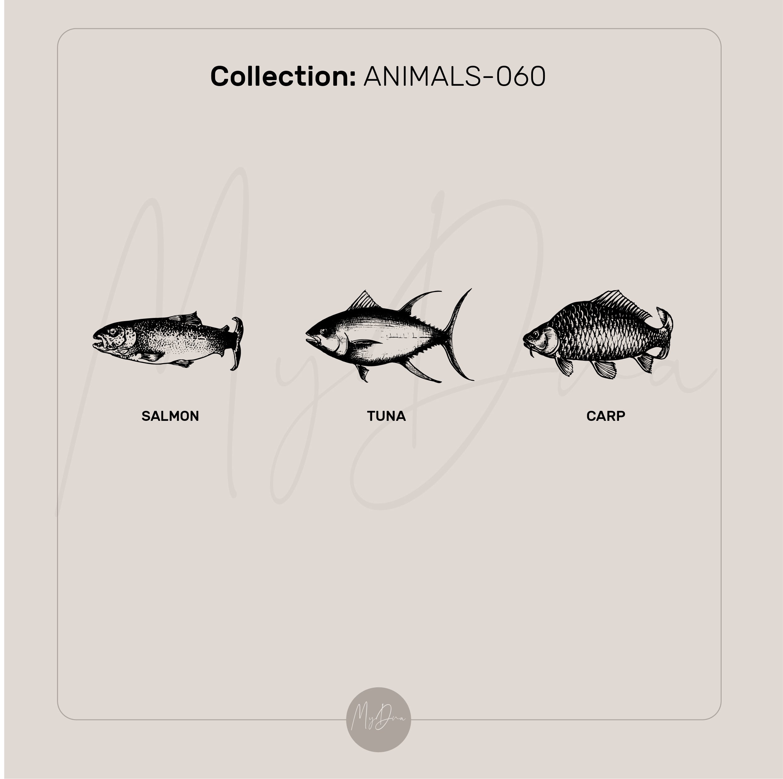 Engraved Salmon Fish Ring