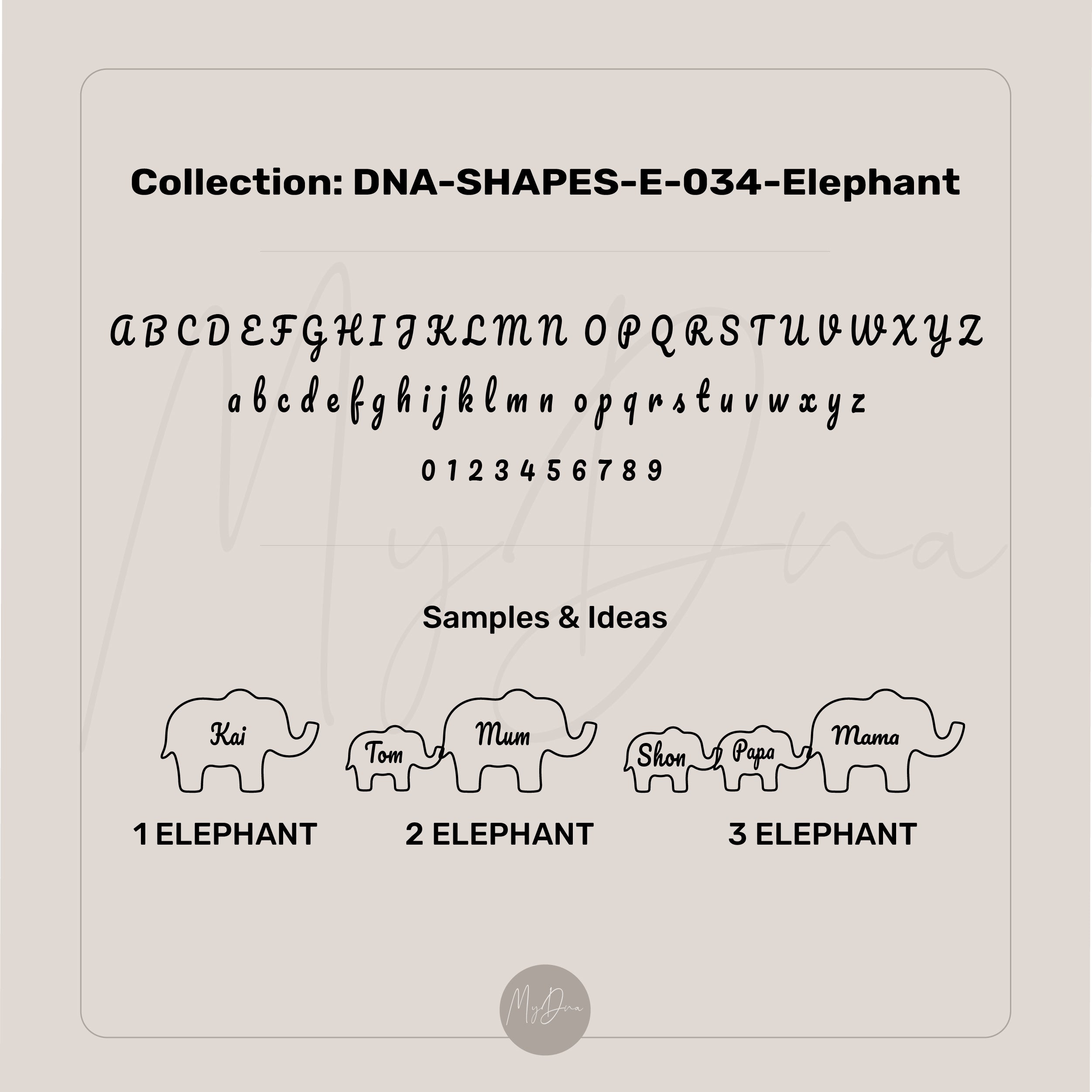 Elephant Name Bracelet