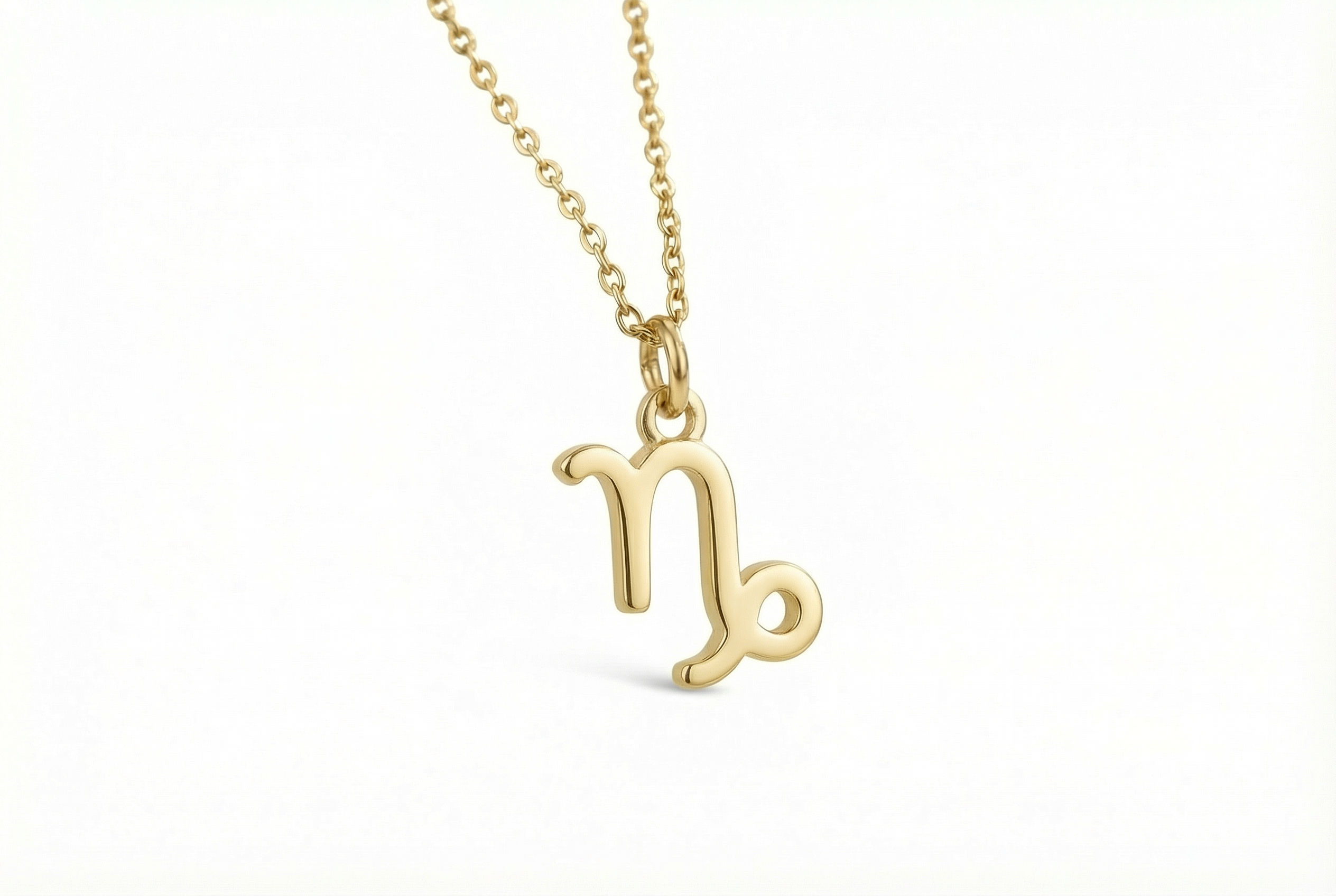 14k Gold Capricorn Zodiac Necklace