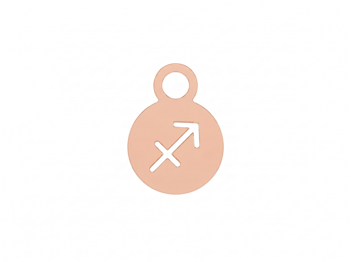 Zodiac Sagittarius Earrings